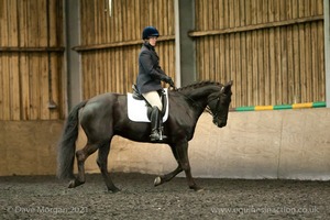 Isis Dressage Crown Farm Show 29th April 2012